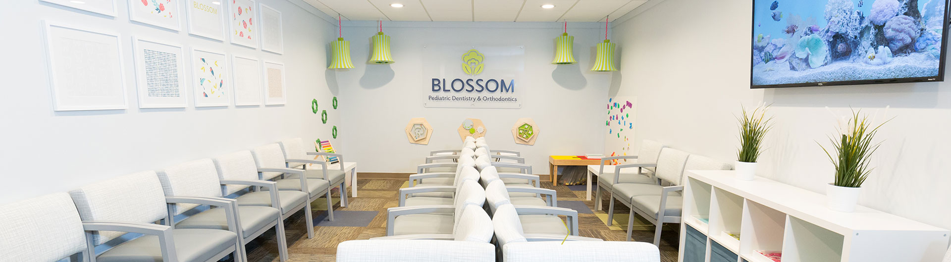 About Blossom Pediatric Dental 